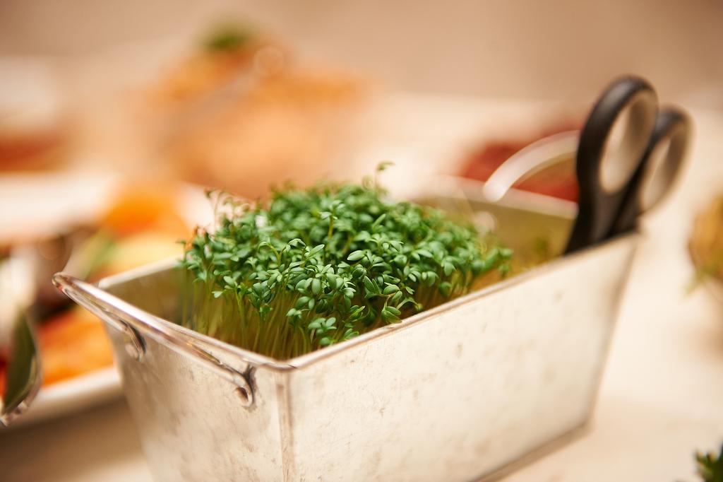Vegan Hotel Und Restaurants Nicolay 1881 泽汀恩拉蒂 外观 照片